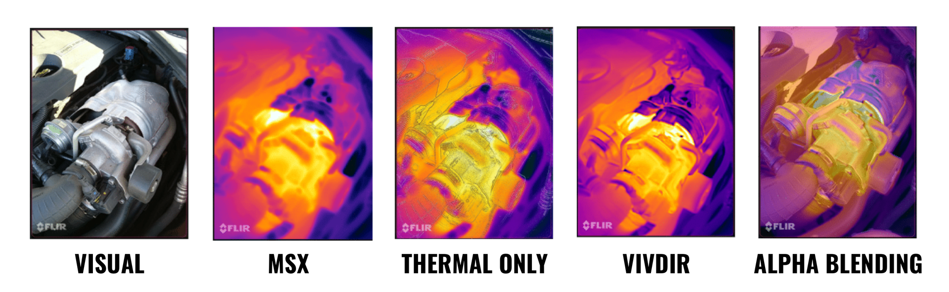 Thermal Imaging